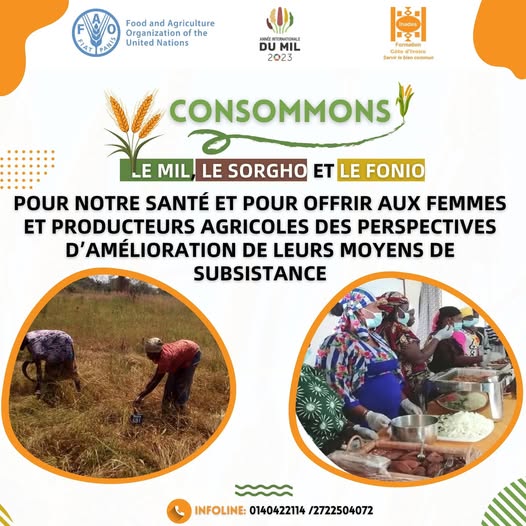 Visuel de campagne Année du Mil : consommons le mil, le sorgho et le fonio